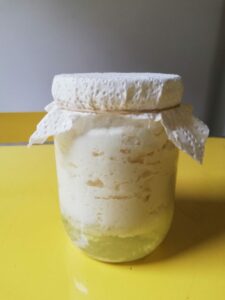 kefir fermentation