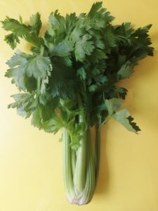 celery